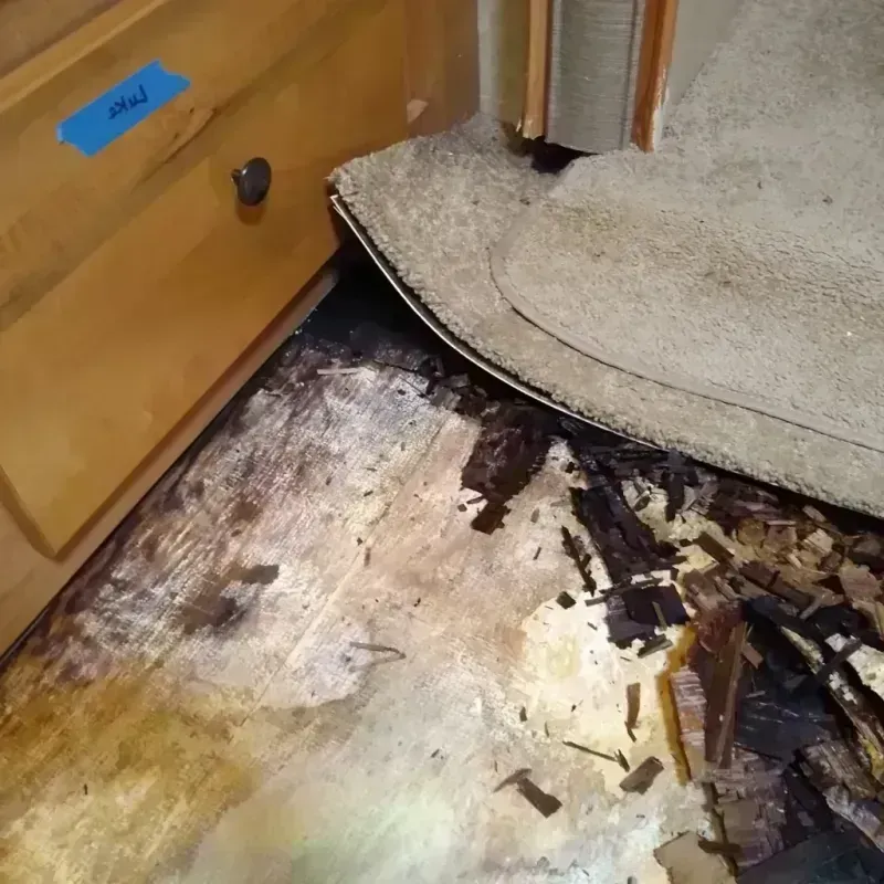 Wood Floor Water Damage in Mary Esther, FL